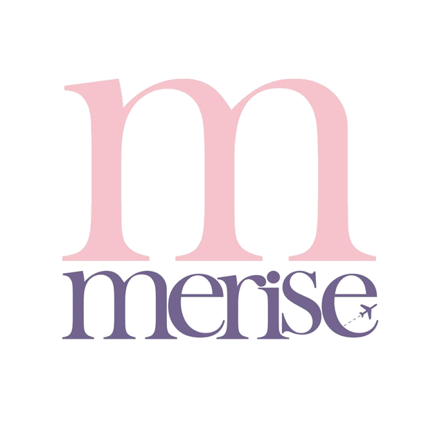 Logo Merise